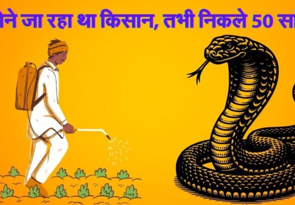 Meerut-Farmer-Snakes