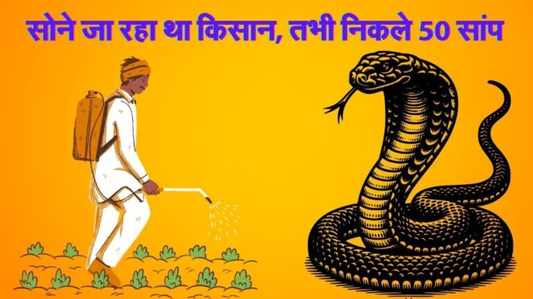 Meerut-Farmer-Snakes