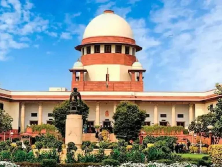 19feb6_1771488330266_1771488334188