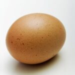 egg