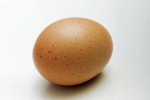 egg