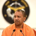 yogi