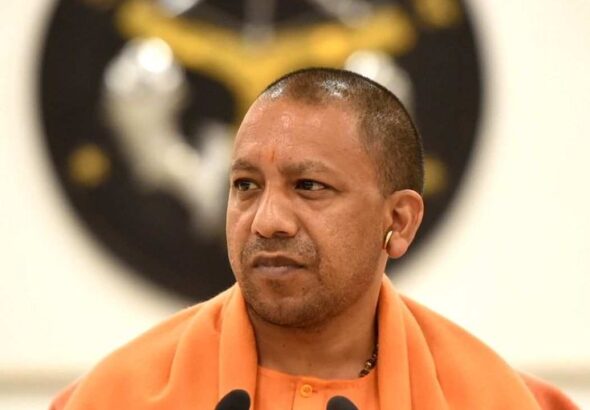 yogi