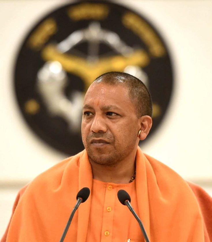 yogi