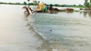 लखनऊ के कई इलाकों में बाढ़ के हालात, सई और गोमती नदी ऊफान पर