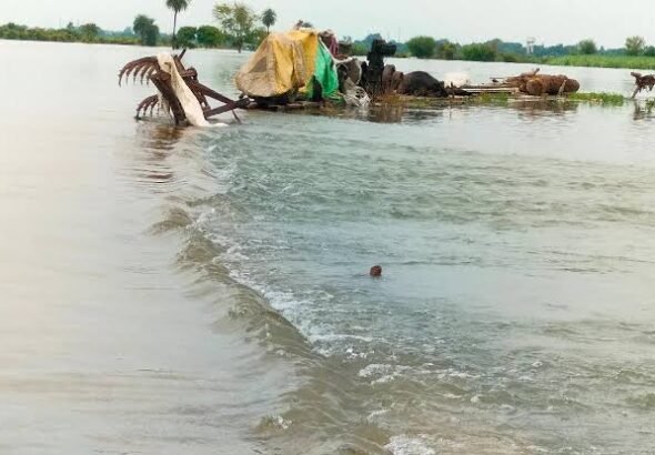 लखनऊ के कई इलाकों में बाढ़ के हालात, सई और गोमती नदी ऊफान पर